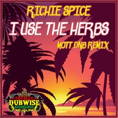 Richie Spice│I Use The Herbs│Mott DNB Remix│FREE DOWNLOAD
