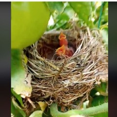 un niditito que washhhhhhhhhhh