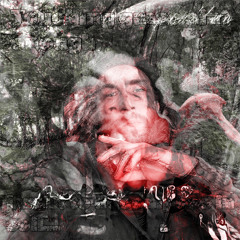 another layer of the same illusion--------------------------------------------------------________