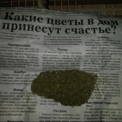 контейнер + ssaglik, Diego