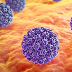 madk1d - ВирусИ) (snippet 26.02.24)