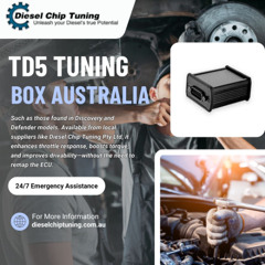 Can a TD5 Tuning Box Chip Really Transform Diesel Performance