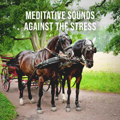 Carriage Ride Through the Exciting Landscape of Tuscany: Meditative Sounds Against the Stress