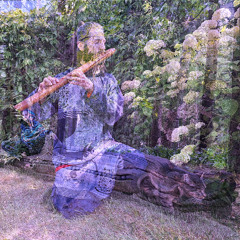 Waking Vibrations 71 (meditative soundscape) 🎧 | Paulius Dauksas