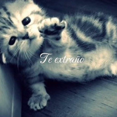 Me das asco ₓ˚.猫.˚ₓ