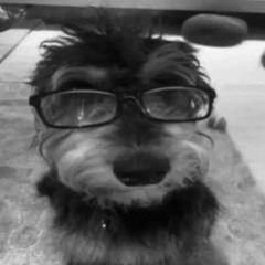 Next Love?/tanqqtr_(R&B Cover)