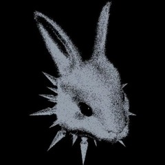 SEFA | DISTORTION | SCHRANZ SET