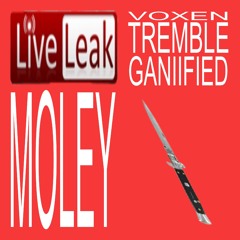 moley & voxon - tremble (ganiified)
