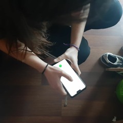 SALGO CON EL MOVIL–ROUS