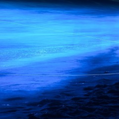 Lostmymindbutnotmysoul