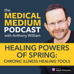 091 Healing Powers Of Spring: Chronic Illness Healing Tools