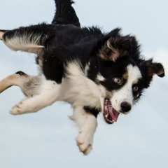 NEO MACHINA ROOY MIX