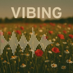 VIBING