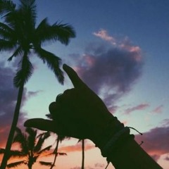 Spéciale Mix Party ¶