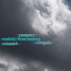 realistic flow testing (feat. peepers, prod. corigula)
