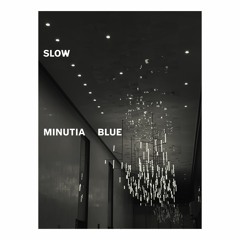 Slow - Minutia Blue