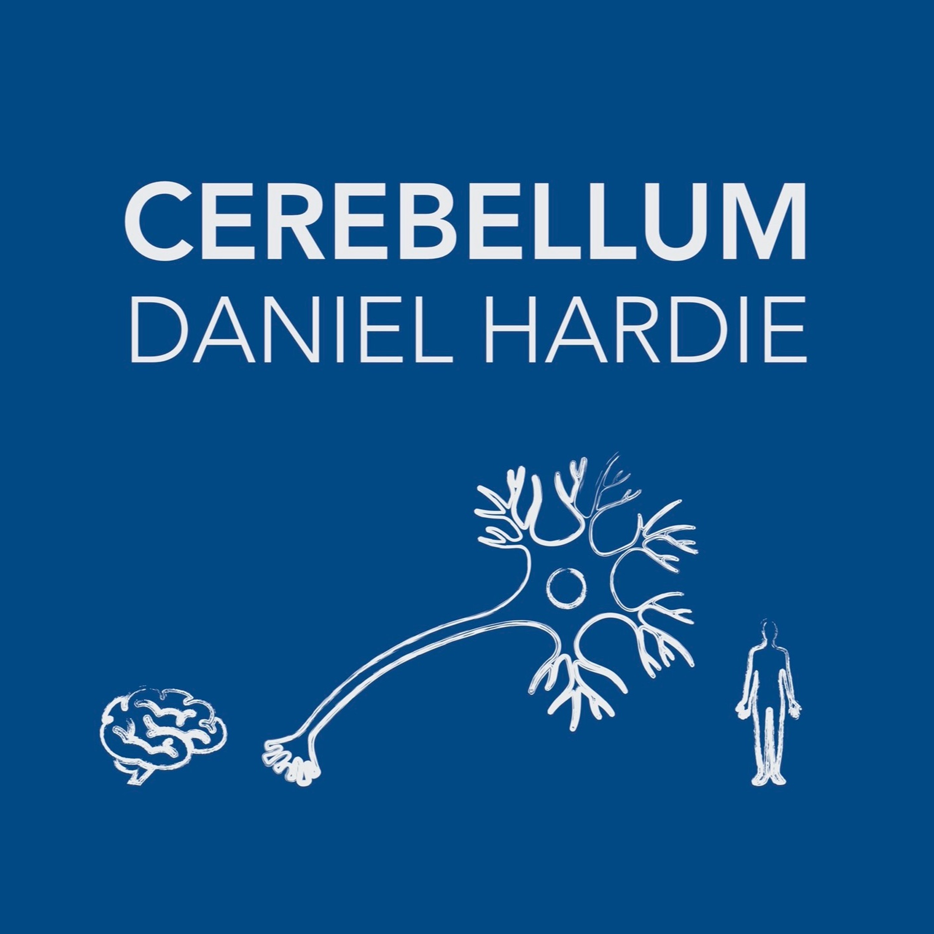 Cerebellum
