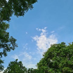 Psalm 62 - Aaron Keyes (Cover)