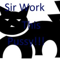 Sir Work This Pussy