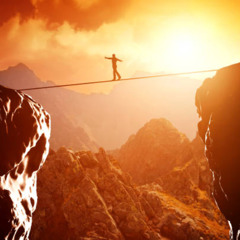 Safety Net removed