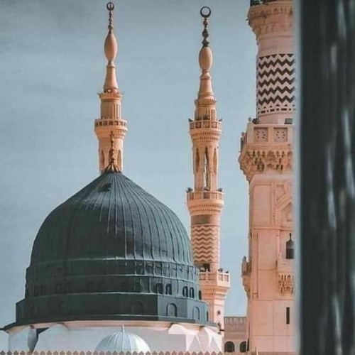 يا إمام الرُّسل | علي العطّار