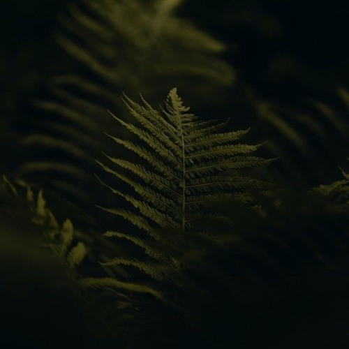 Flaire - 'Oog in Oog' MaxLorenzo, VB Holty & Yves Springer.mp3