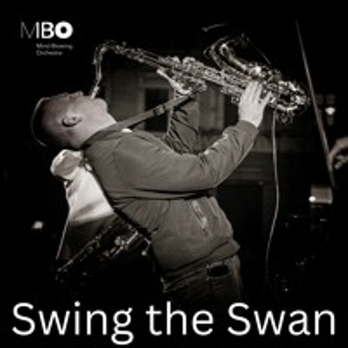 Swing The Swan