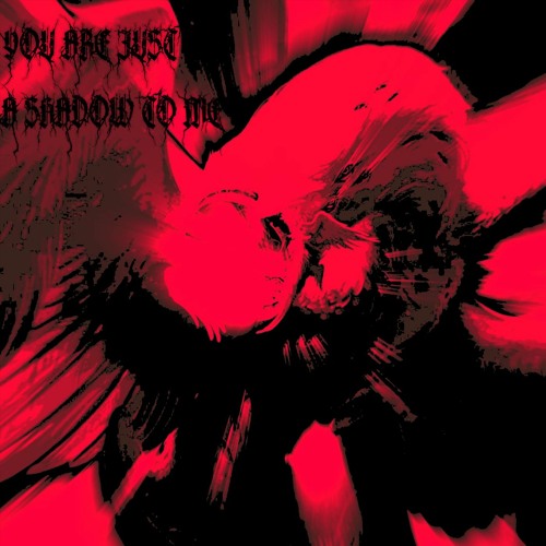 YOU ARE JUST A SHADOW TO ME (MUSIC VIDEO IN DESCRIPTION)