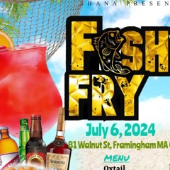 BLACKCITY INTERNATIONAL (DJ DEEWA) IN BOSTON MA ANNUAL FISH FRY LIVE AUDIO NO MIC JULY.06.24