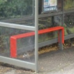 Little bitch in the background