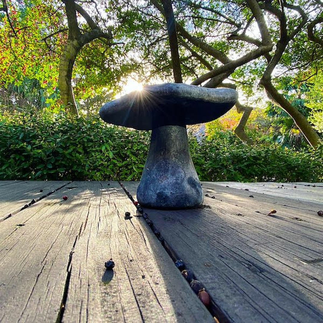 Stream Mushroom Jazz 02 - Mark Farina by OpenLab Radio | Listen