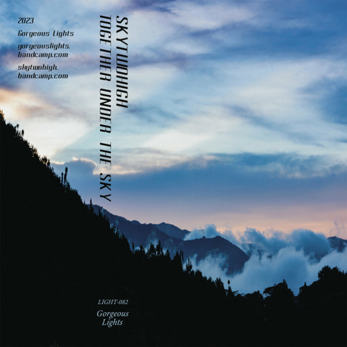 SkyTwoHigh - Too Old, Too Fragile
