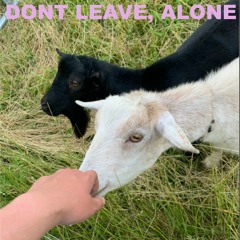 don't leave, alone (demo)