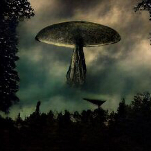 11:55 / Breaking Bones