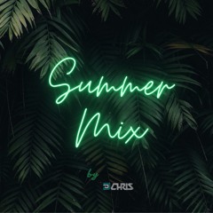 Summer Mix 2024 By DJ Chris