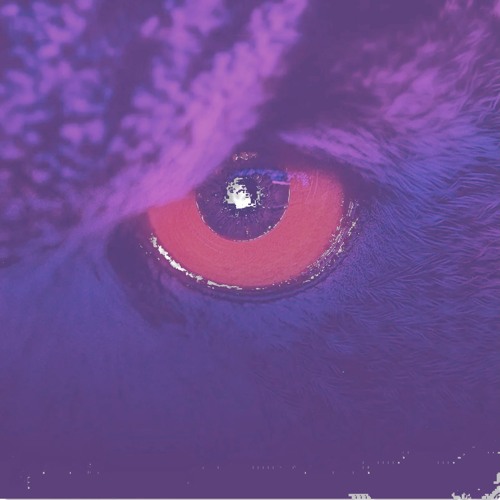 Umami Funk Fusion(samïr Percussion Mix)