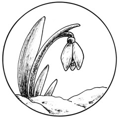 January (Marie Dresselhuis) - Cover