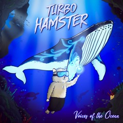 Voices Of The Ocean