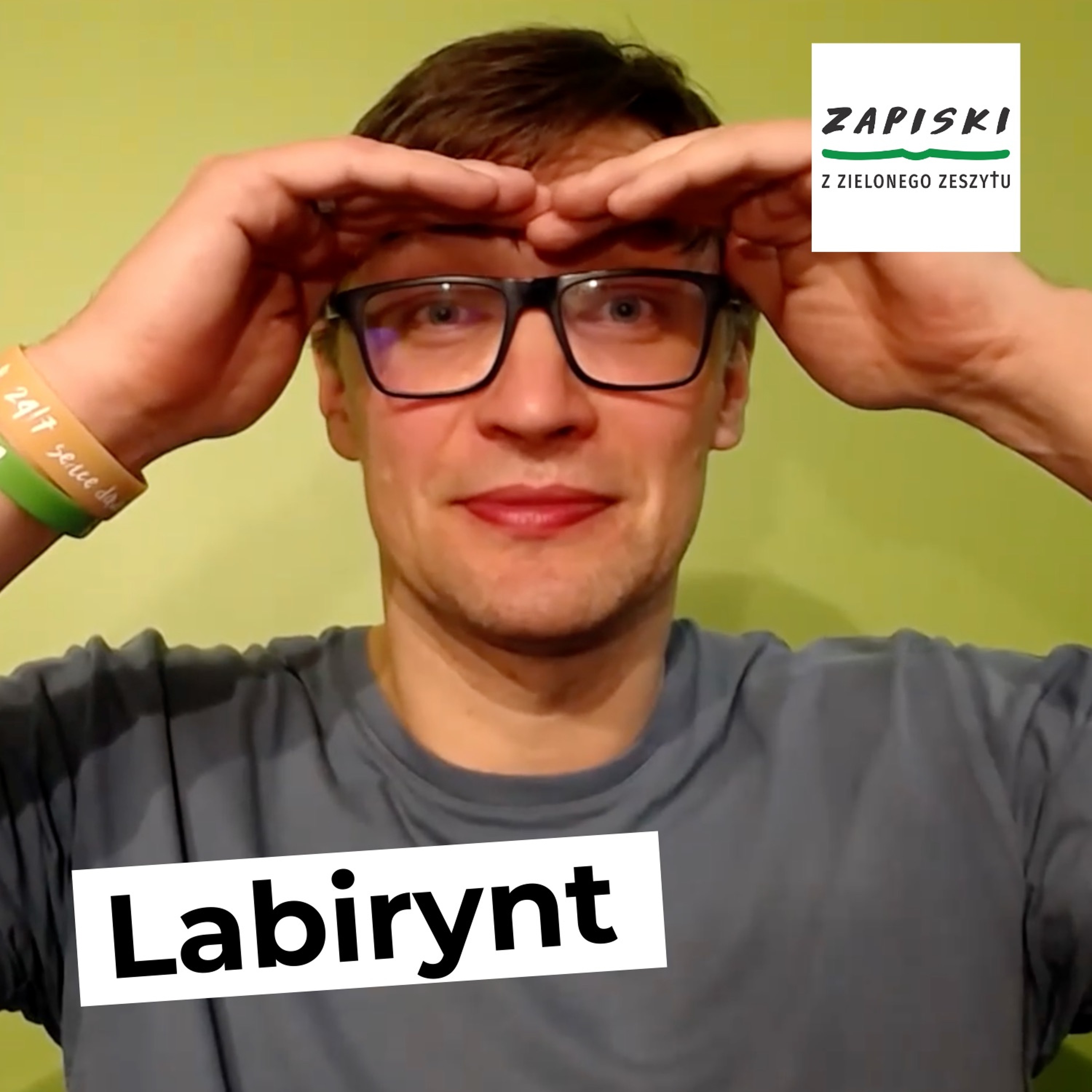 Zapiski z zielonego zeszytu