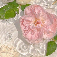 BABEUTURNMEONFREESTYLE