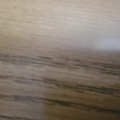 Phone Guy sings ballin