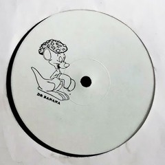 DJ Para - The Dub
