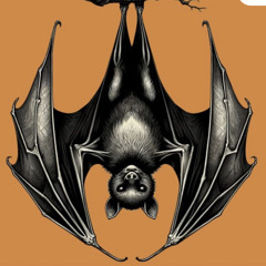 STUPNICE ULTRAZVUKU 🗄️2.