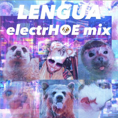 LENGUA's electrH🐶E mix