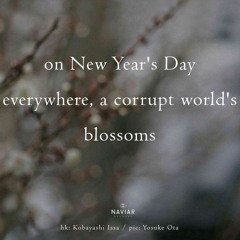 Corrupt Blossoms - (Naviarhaiku - 574)