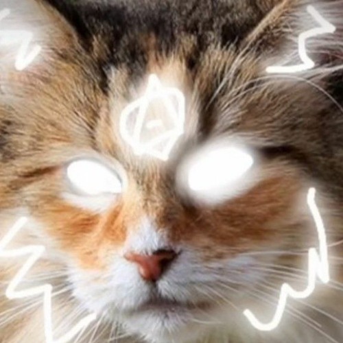 Therian/Quadrobics Playlist🪶🐾🍂