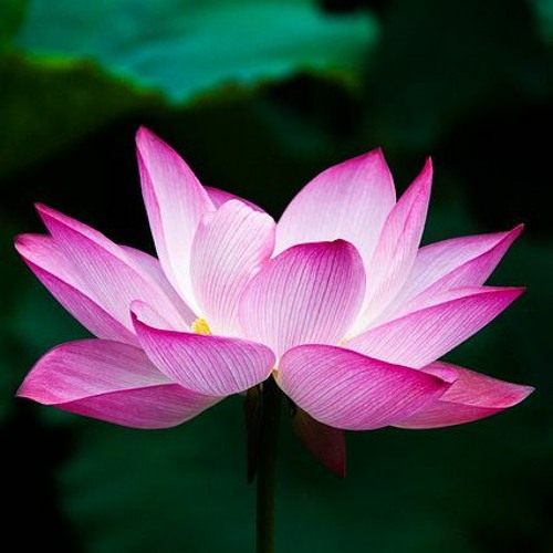 Isness Unconditionally Is - 2023/04/24