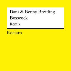 Techno Remix (Bosscock)