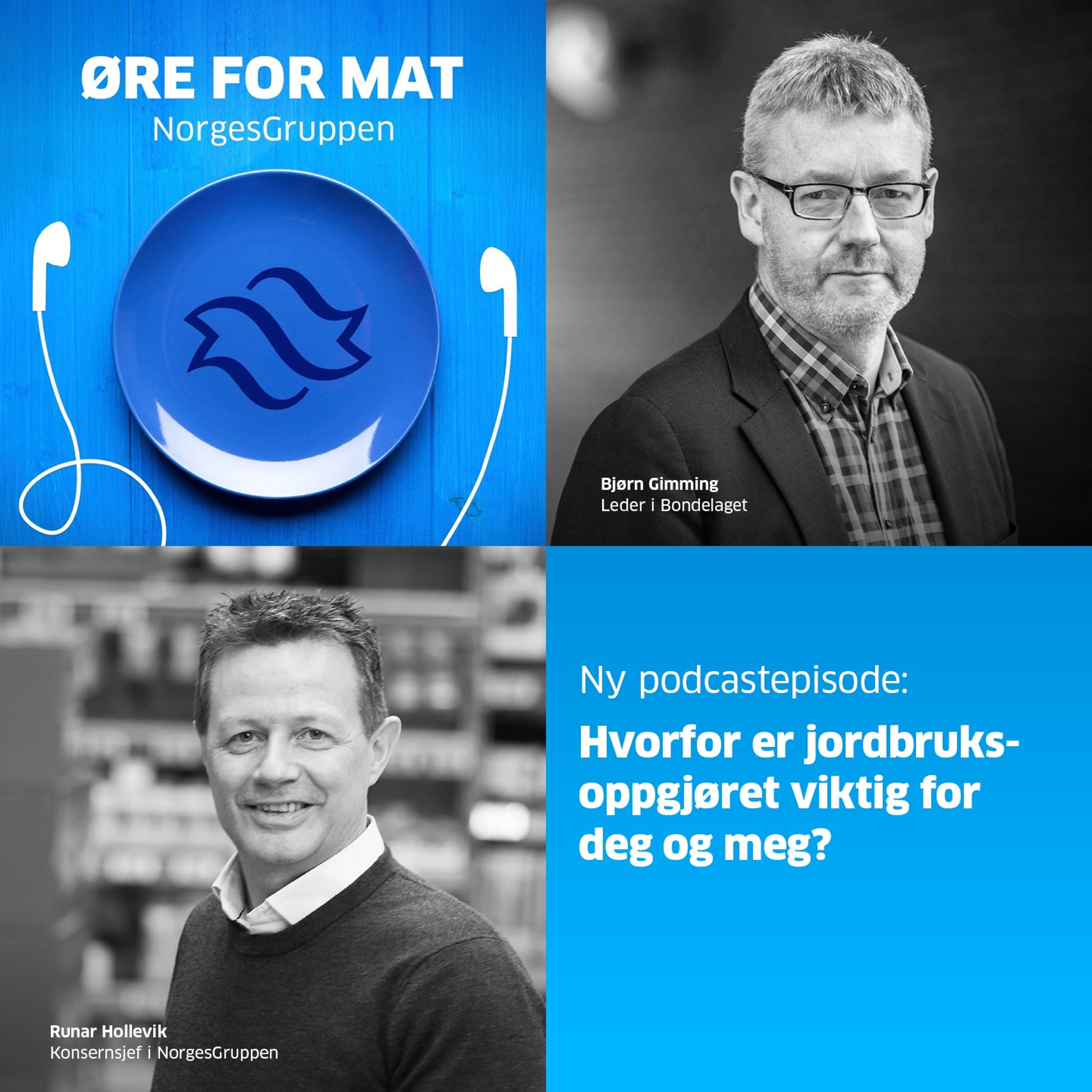 Øre for mat