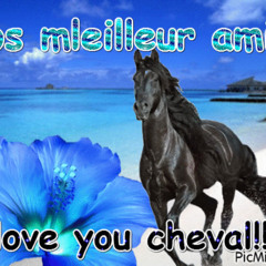 I Love Le Cheval (feat Raoulux)